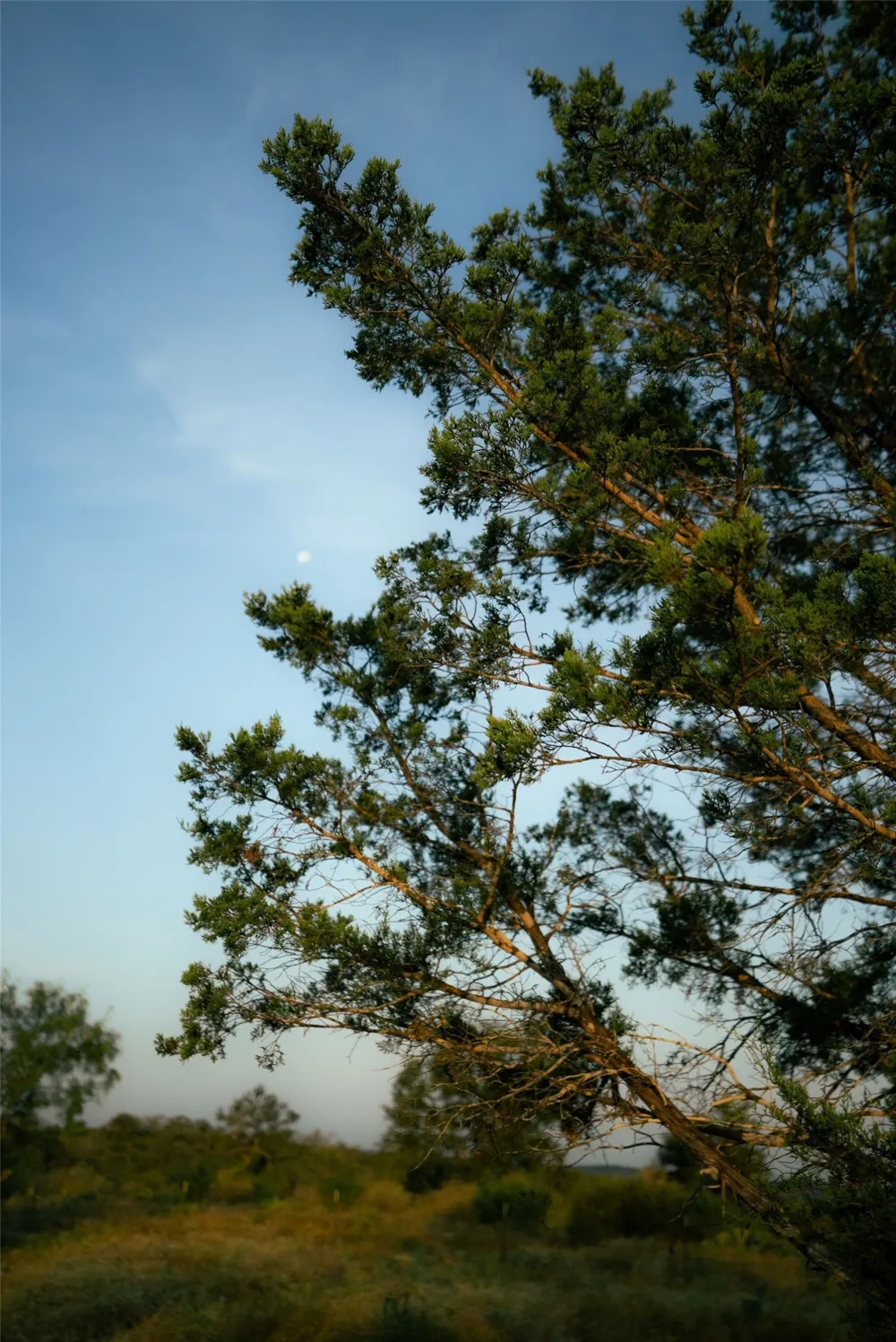 1790 County Road 402 Marble Falls, TX 78654