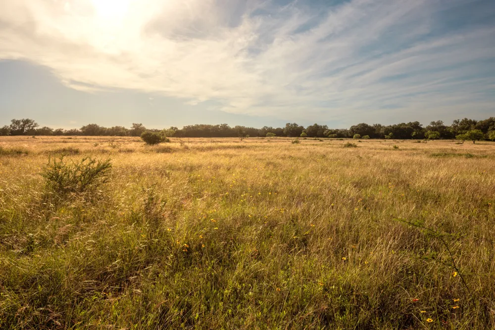 1755 Towhead Valley Road Johnson City, TX 78636