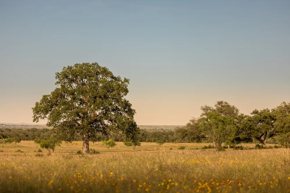 1755 Towhead Valley Road Johnson City, TX 78636
