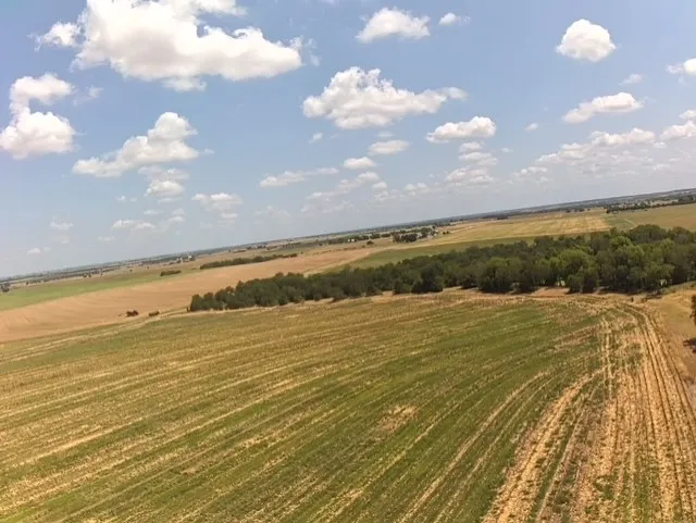 1201 County Road 460 Road Coupland, TX 78615