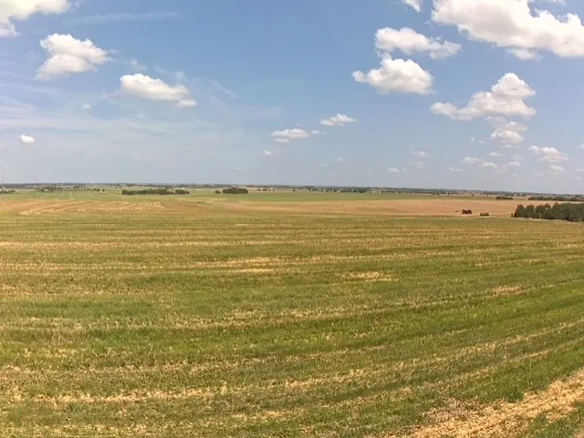 1201 County Road 460 Road Coupland, TX 78615