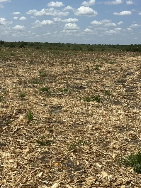 1201 County Road 460 Road Coupland, TX 78615