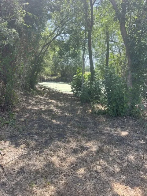 1201 County Road 460 Road Coupland, TX 78615