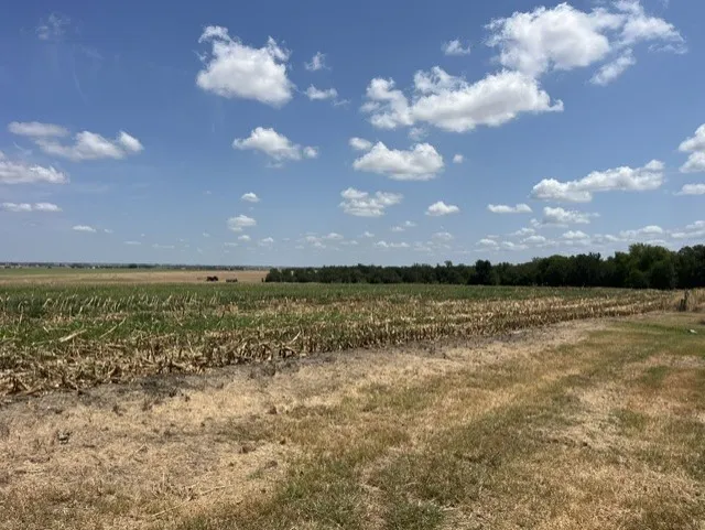 1201 County Road 460 Road Coupland, TX 78615