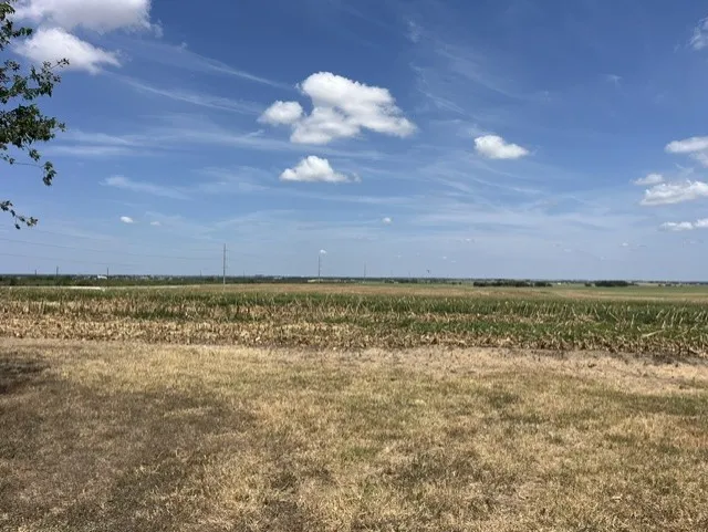 1201 County Road 460 Road Coupland, TX 78615