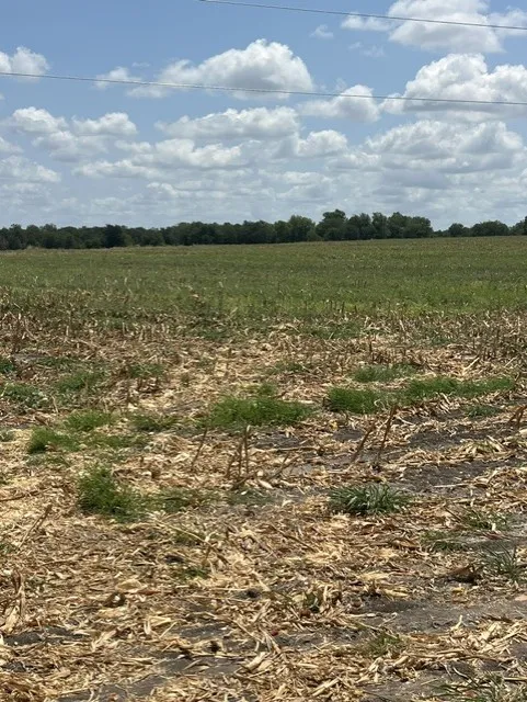 1201 County Road 460 Road Coupland, TX 78615