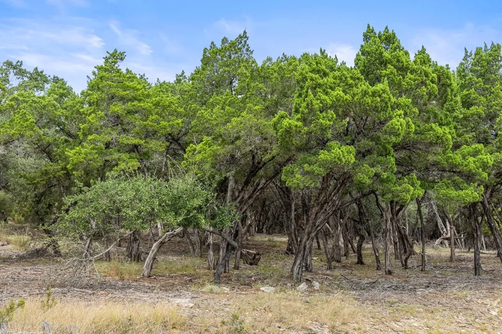 17609 Regatta View Drive Jonestown, TX 78645