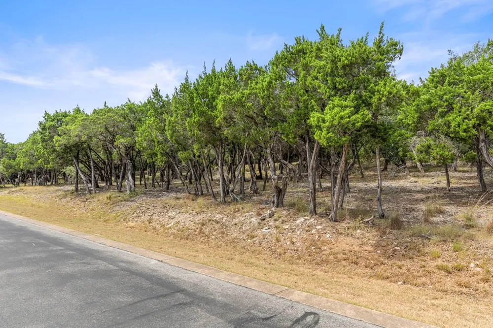 17609 Regatta View Drive Jonestown, TX 78645