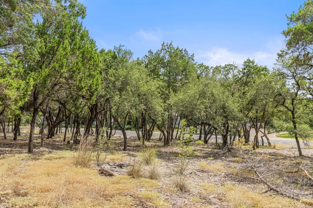 17609 Regatta View Drive Jonestown, TX 78645
