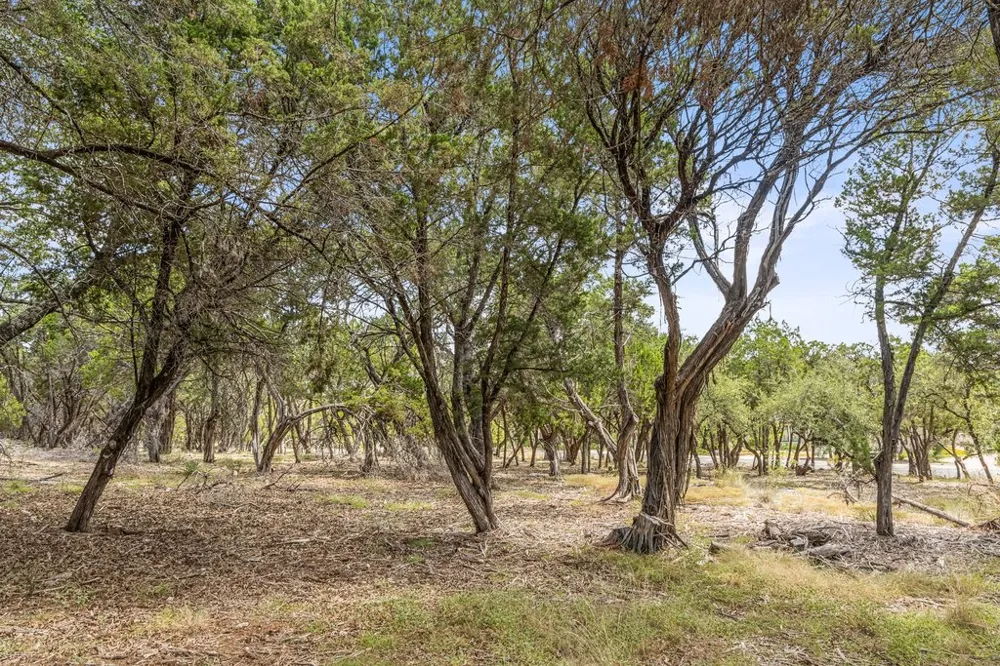17609 Regatta View Drive Jonestown, TX 78645