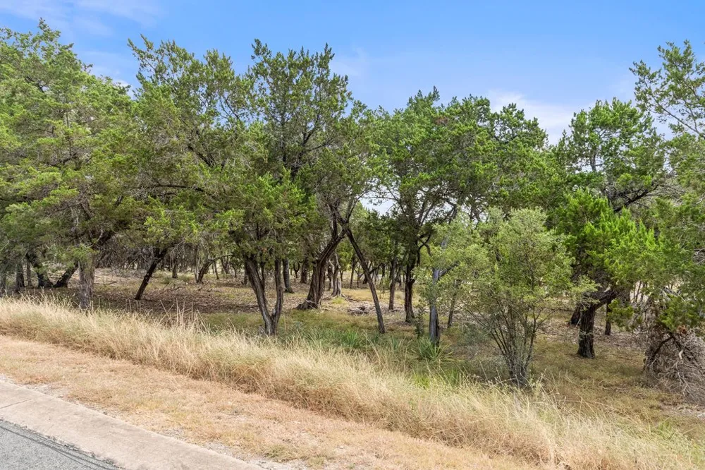 17609 Regatta View Drive Jonestown, TX 78645