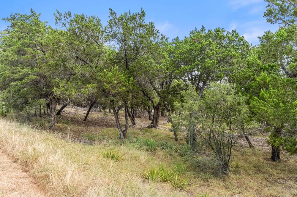 17609 Regatta View Drive Jonestown, TX 78645
