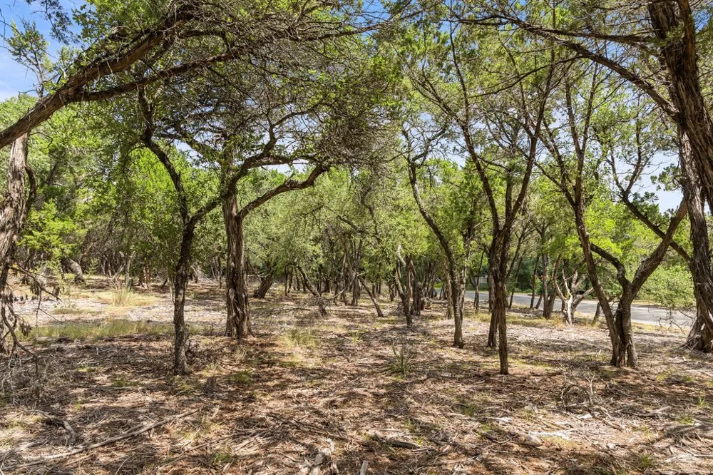 17609 Regatta View Drive Jonestown, TX 78645