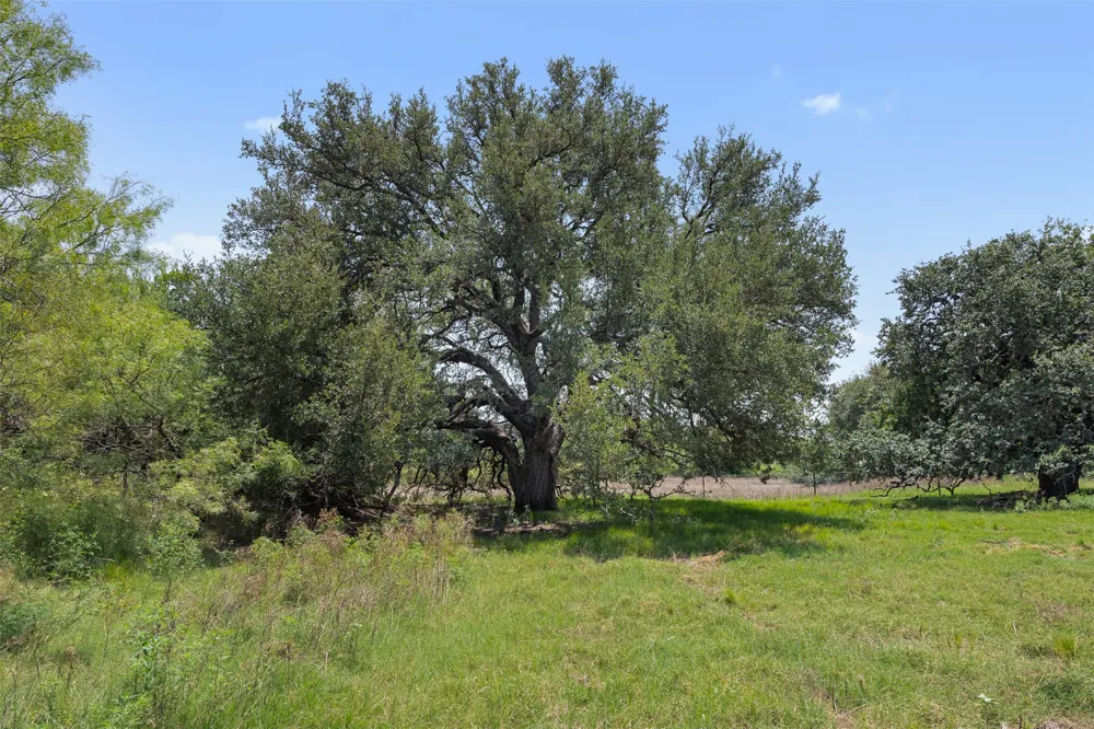 267 Private Road 920 Rochelle, TX 76872