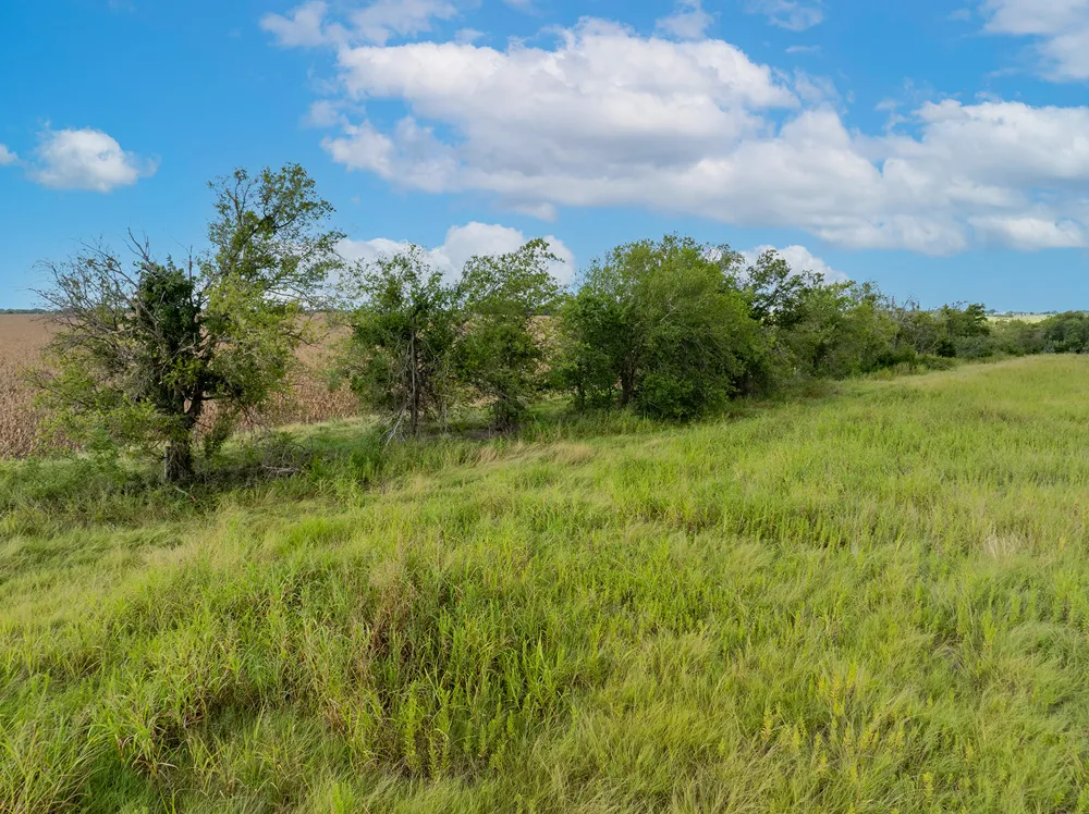 5275 County Road 424 Road Taylor, TX 76574