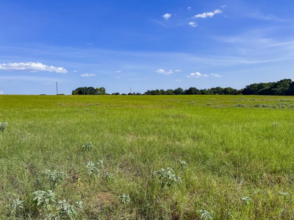 1 Old McMahan Road Lockhart, TX 78644