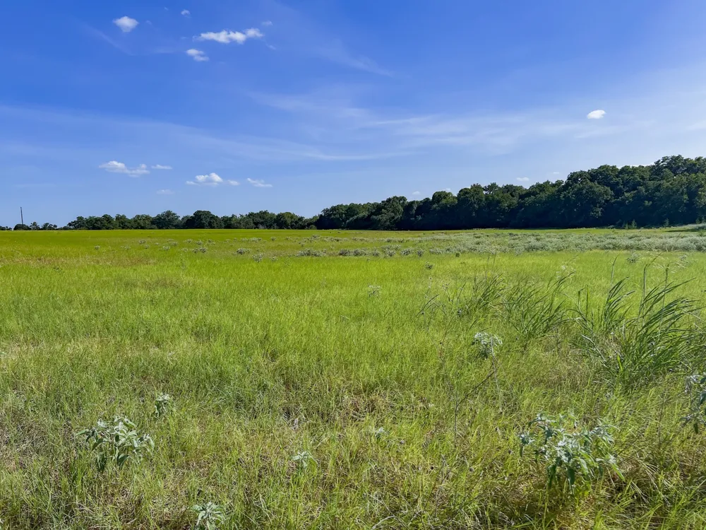 1 Old McMahan Road Lockhart, TX 78644