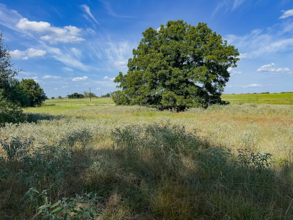 1 Old McMahan Road Lockhart, TX 78644