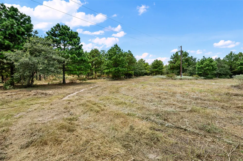 186 Hook Em Horns Drive Paige, TX 78659