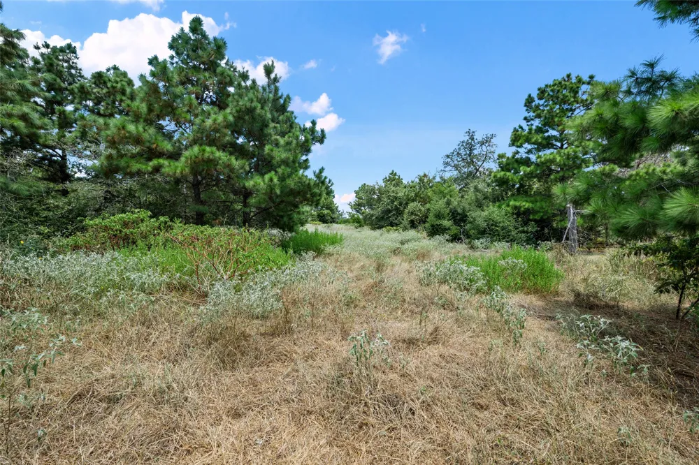 186 Hook Em Horns Drive Paige, TX 78659