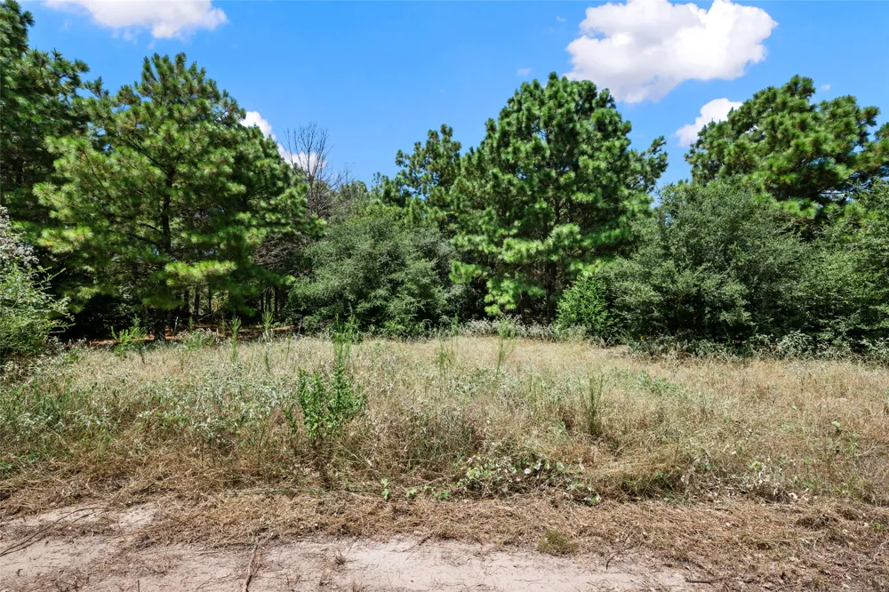 186 Hook Em Horns Drive Paige, TX 78659