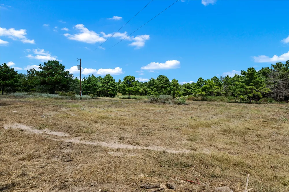 186 Hook Em Horns Drive Paige, TX 78659