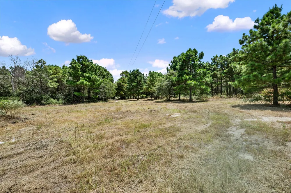 186 Hook Em Horns Drive Paige, TX 78659