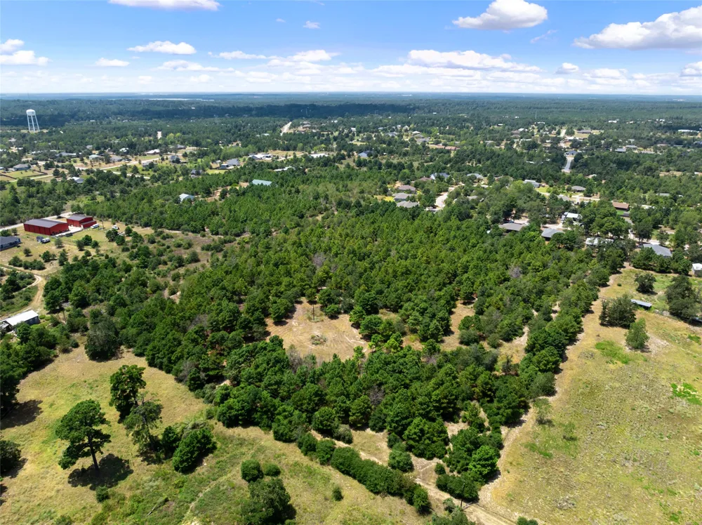 186 Hook Em Horns Drive Paige, TX 78659