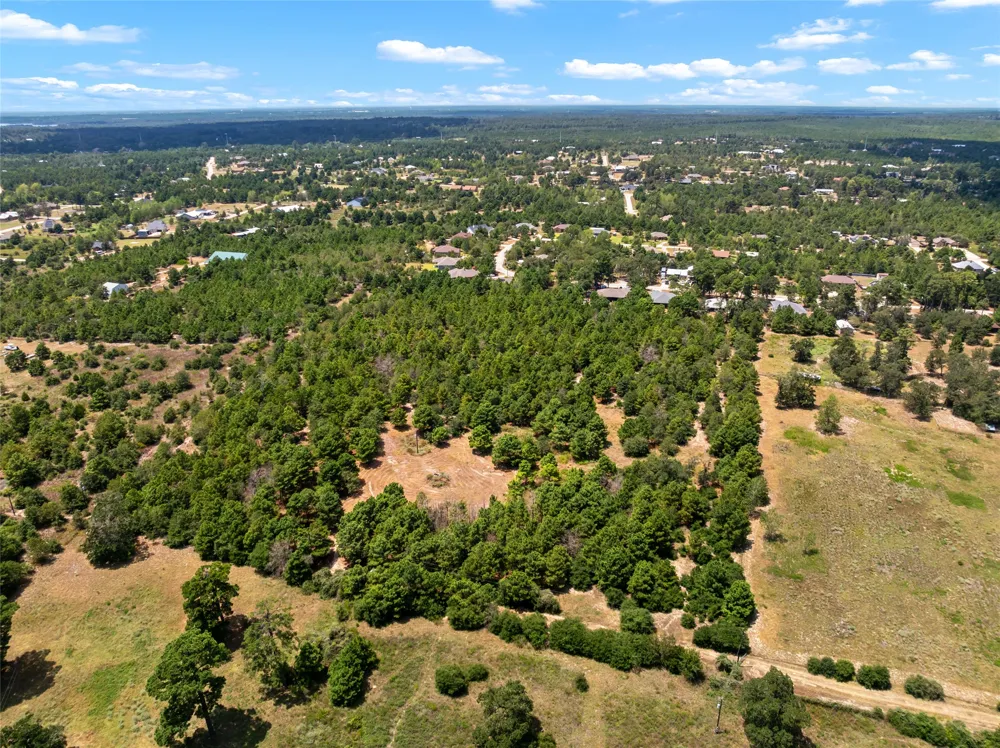 186 Hook Em Horns Drive Paige, TX 78659