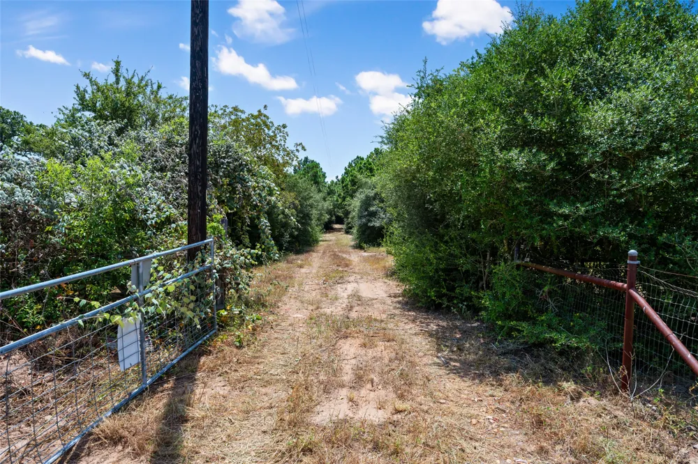 186 Hook Em Horns Drive Paige, TX 78659
