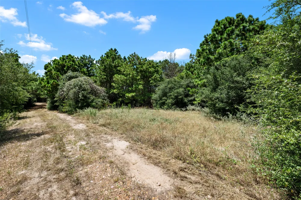 186 Hook Em Horns Drive Paige, TX 78659