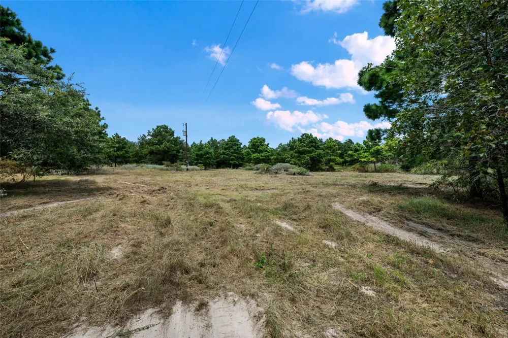 186 Hook Em Horns Drive Paige, TX 78659