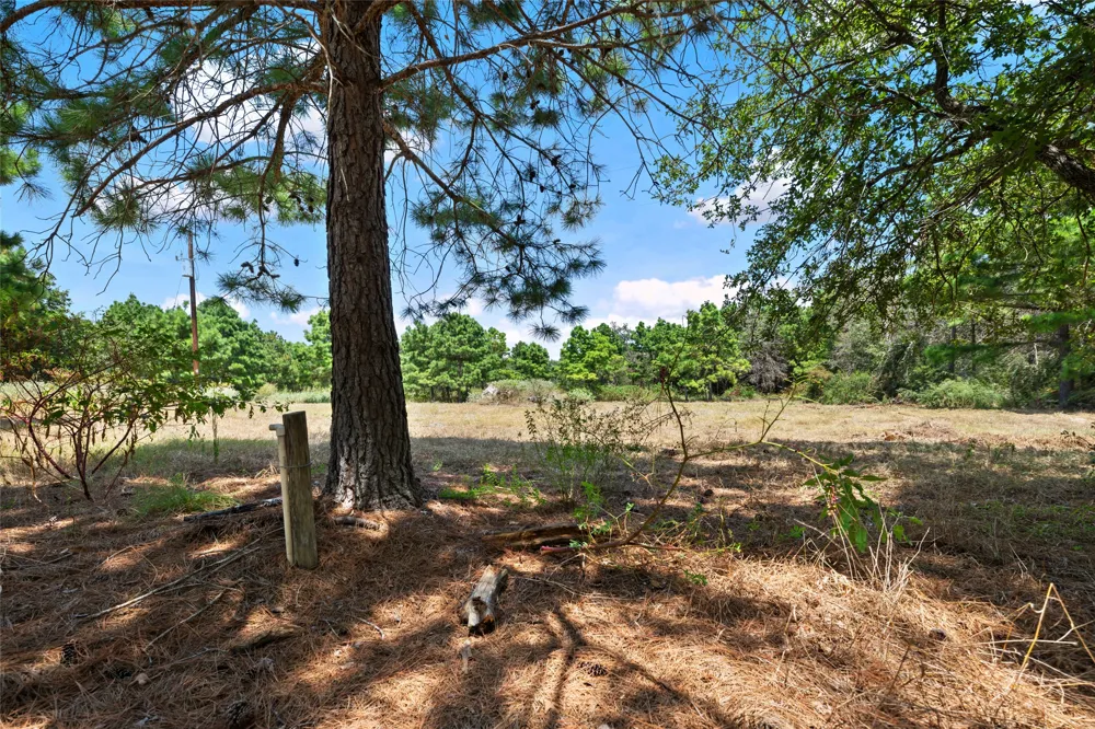 186 Hook Em Horns Drive Paige, TX 78659