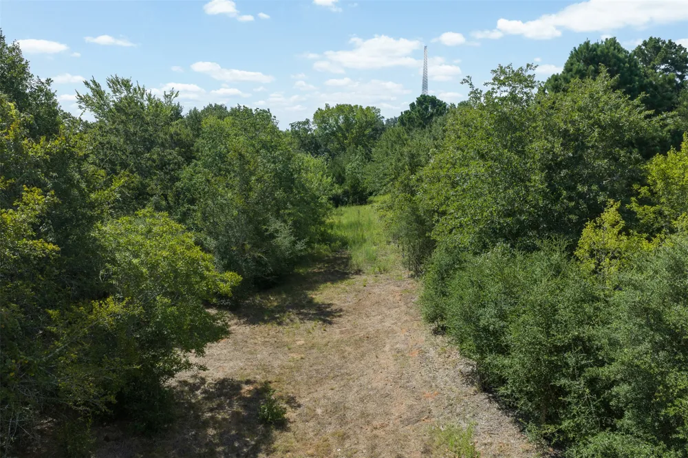 3555 County Road 430 Dime Box, TX 77853