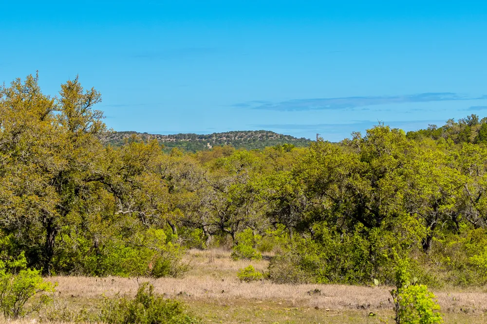 125 Pump Station Road Wimberley, TX 78676