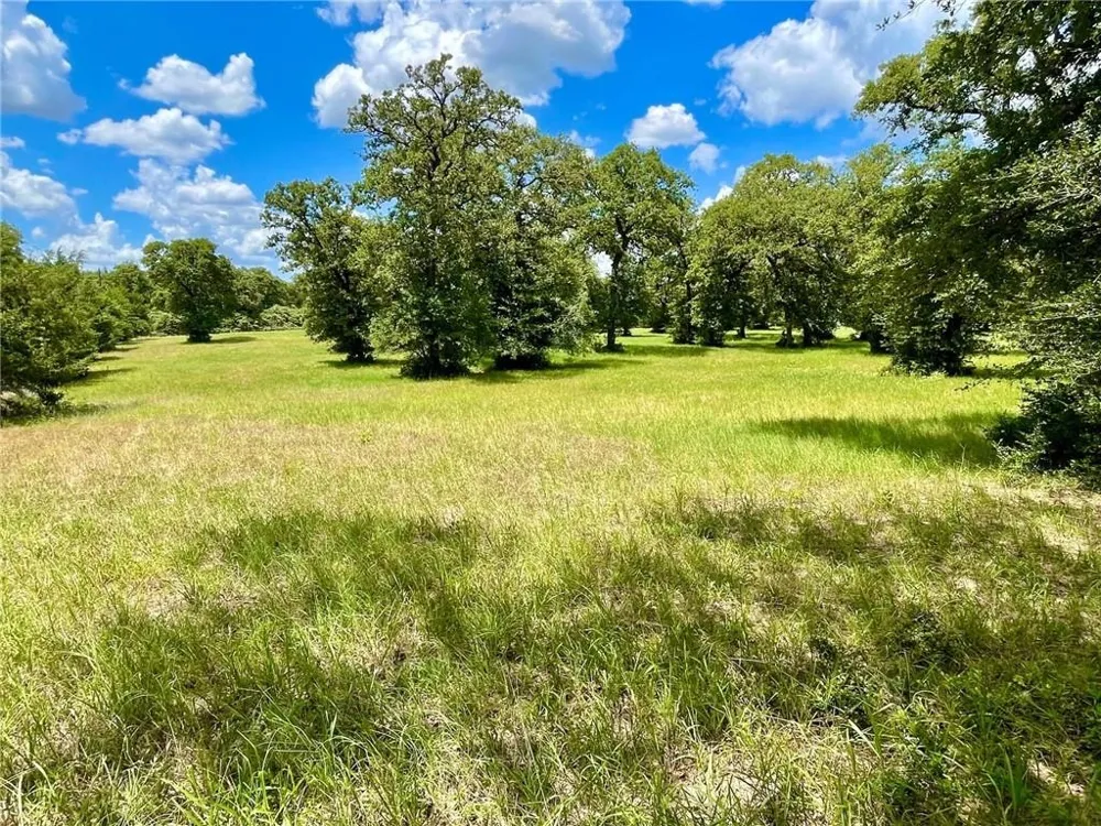 10571 County Road 321 Caldwell, TX 77836