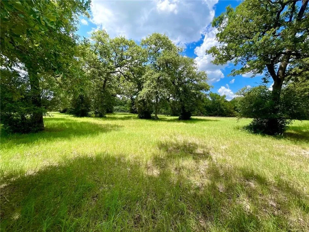10571 County Road 321 Caldwell, TX 77836