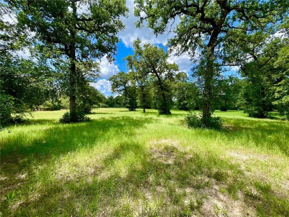 10571 County Road 321 Caldwell, TX 77836