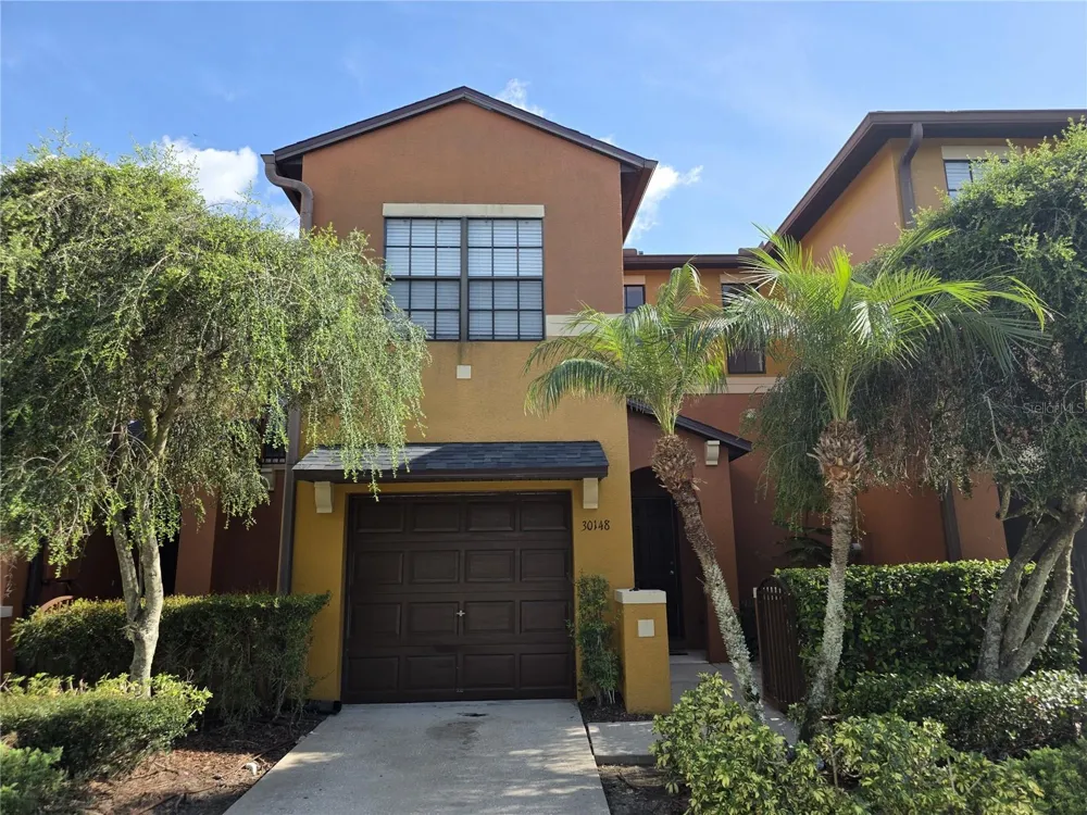 30148 GOODWICK WAY Wesley Chapel, FL 33543