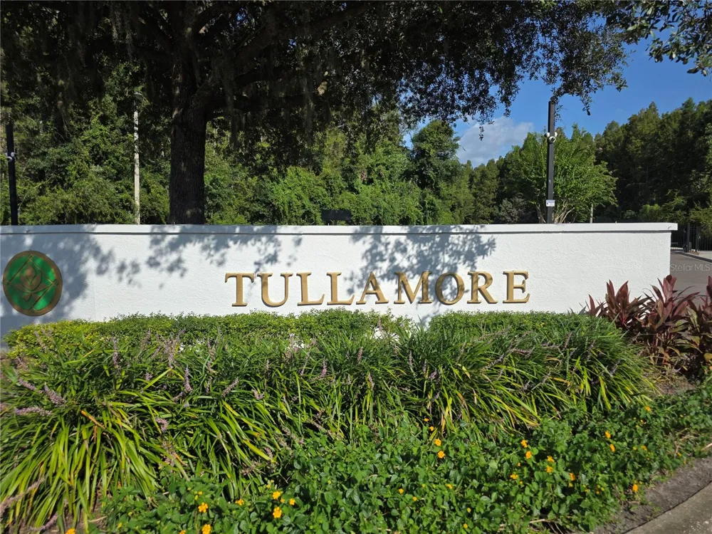 30148 GOODWICK WAY Wesley Chapel, FL 33543