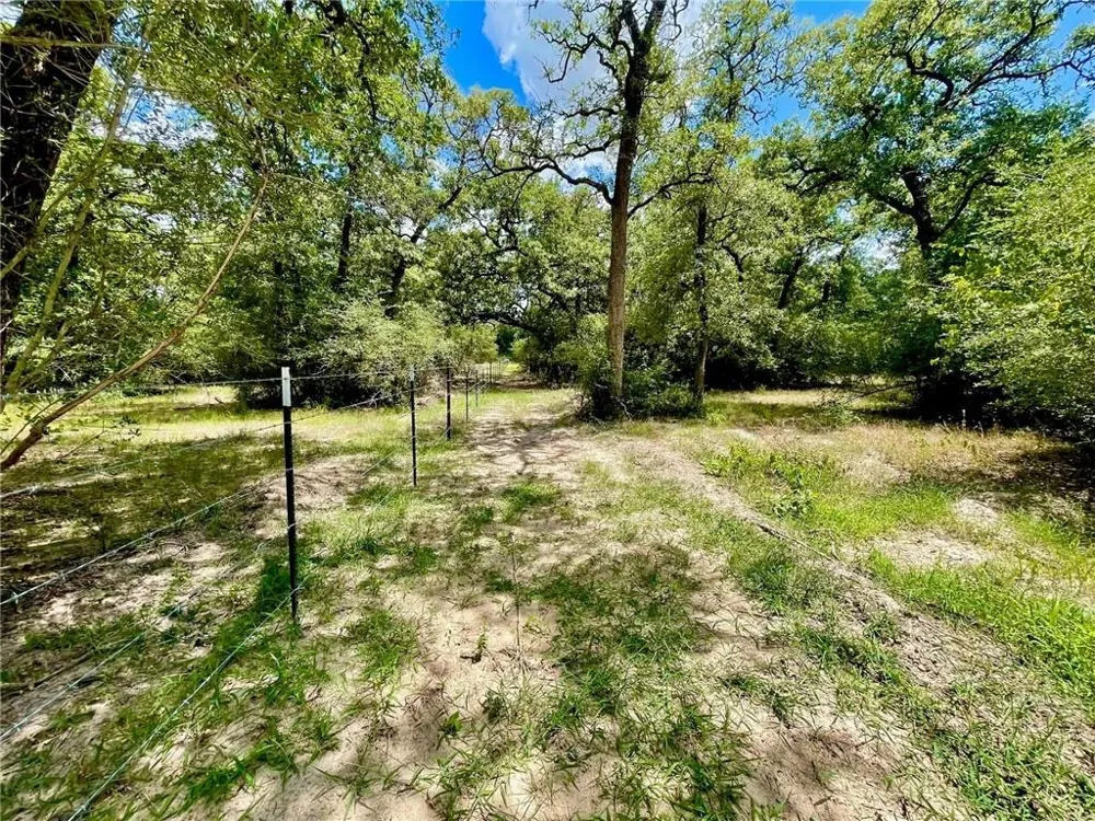10571 County Road 321 Caldwell, TX 77836