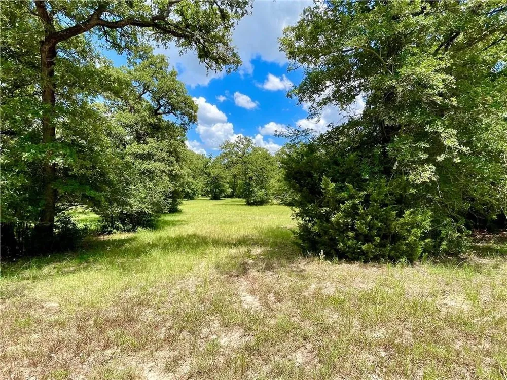10571 County Road 321 Caldwell, TX 77836