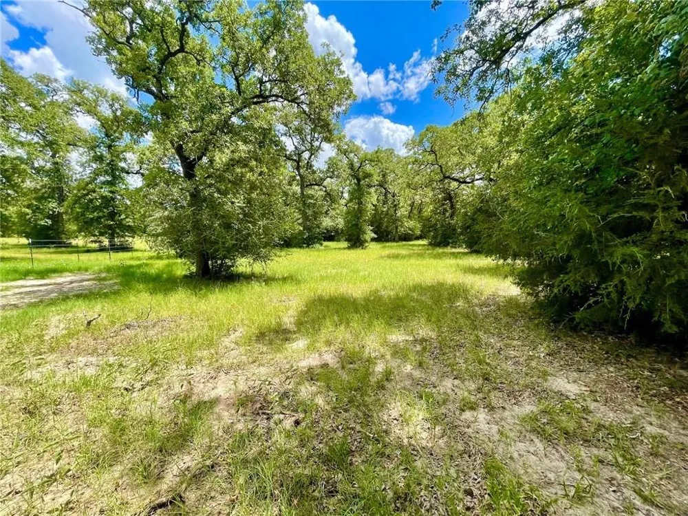 10571 County Road 321 Caldwell, TX 77836