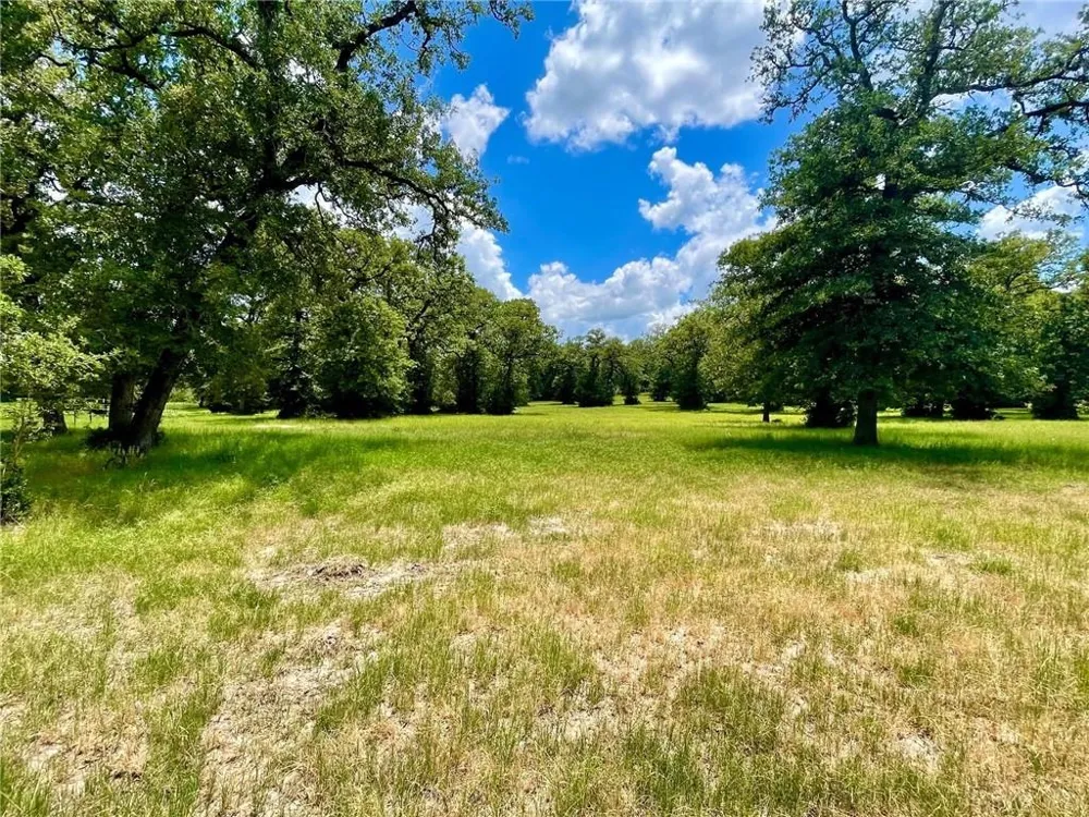 10571 County Road 321 Caldwell, TX 77836