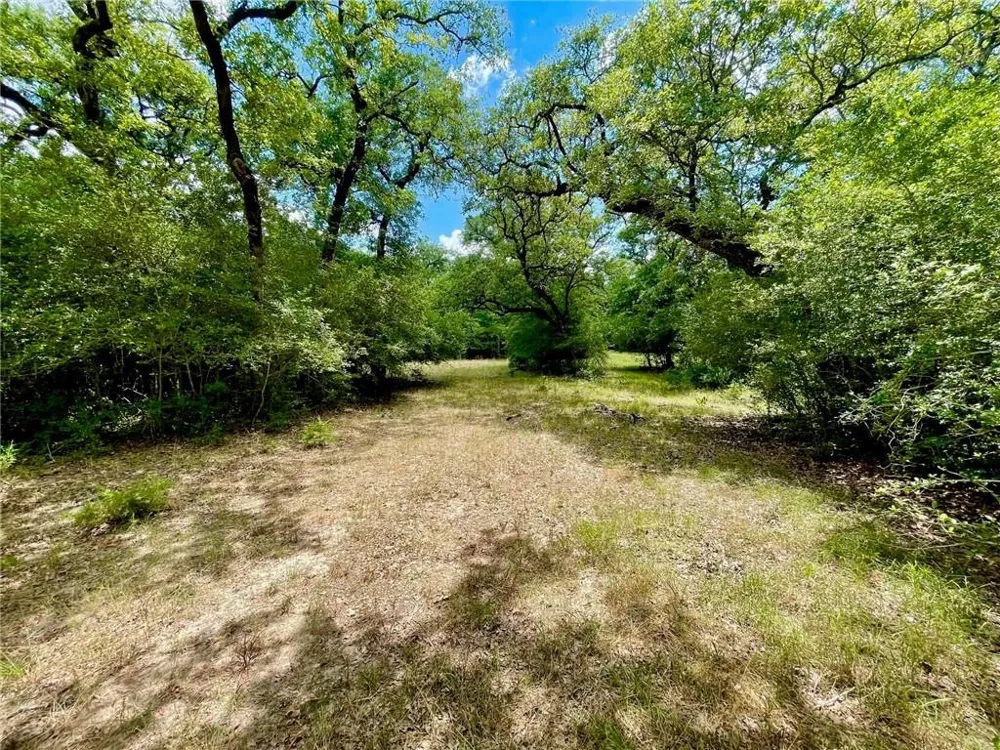 10571 County Road 321 Caldwell, TX 77836