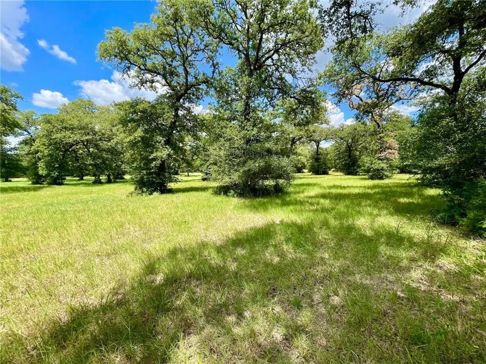 10571 County Road 321 Caldwell, TX 77836