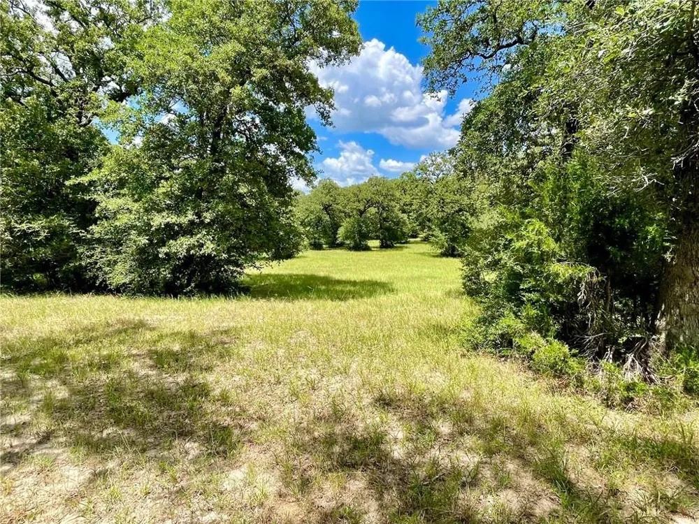 10571 County Road 321 Caldwell, TX 77836