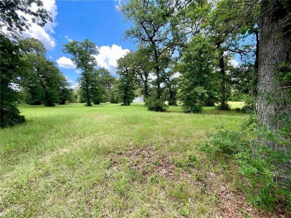 10571 County Road 321 Caldwell, TX 77836