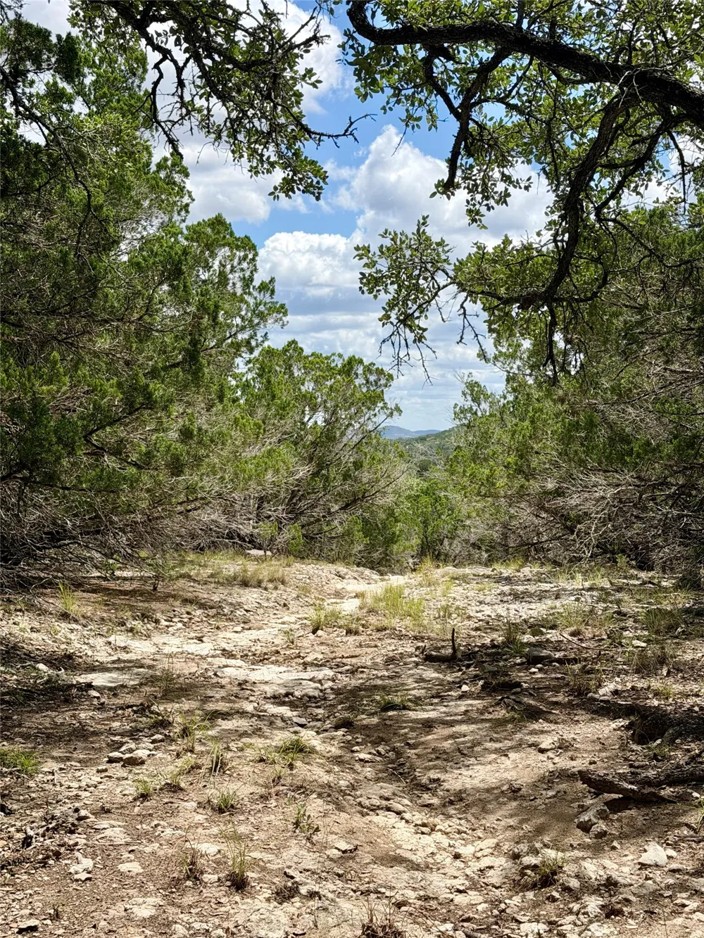 W Bear Spring Road Pipe Creek, TX 78063