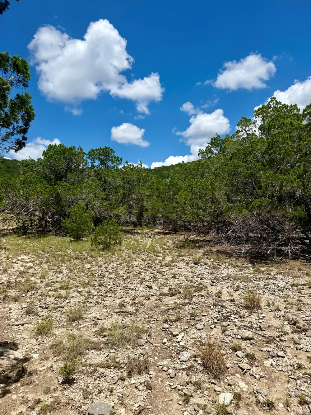 W Bear Spring Road Pipe Creek, TX 78063